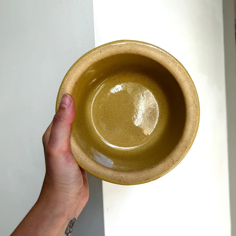 Vintage Stoneware Mid Century Robinson Ransbottom Roseville Dog Bowl